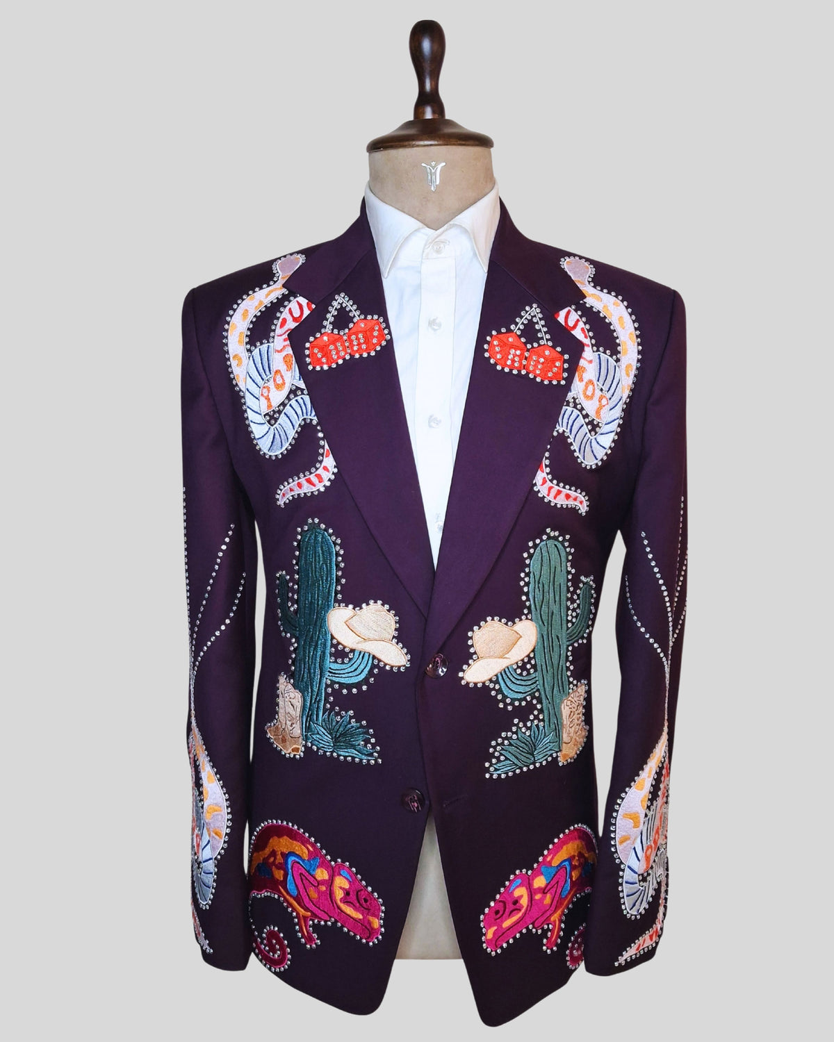 Men Wine Customized 2 Piece Suit Snake Cactus Wild Theme Embroidered Rhinestone Western Suit