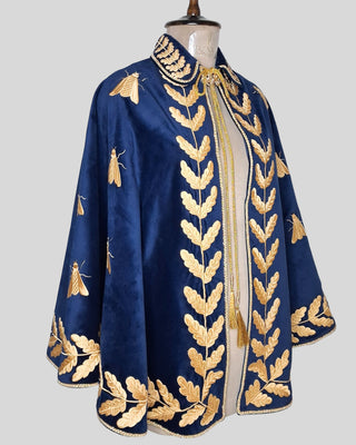 Women’s Royal Blue Velvet Embroidered Historical Cape Set with Matching Waistcoat Carnival Theme Party Outfit