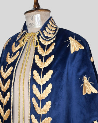 Women’s Royal Blue Velvet Embroidered Historical Cape Set with Matching Waistcoat Carnival Theme Party Outfit
