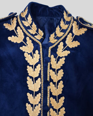 Women’s Royal Blue Velvet Embroidered Historical Cape Set with Matching Waistcoat Carnival Theme Party Outfit